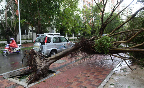 Typhoon Son-Tinh in Hainan province