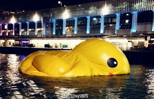 The great big yellow duck deflats in Victoria harbour