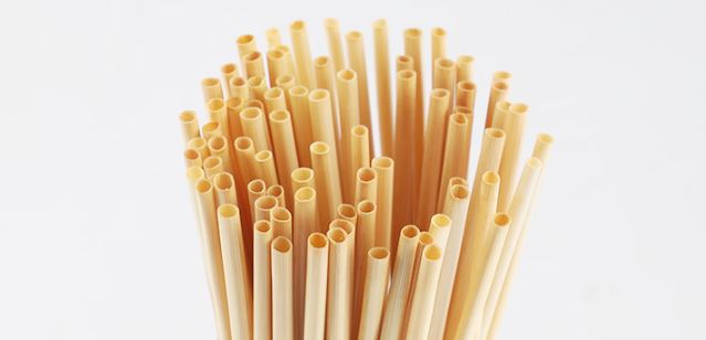 Are Silicone Straws Are The Best Reusable Straws?